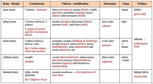 The Future of Sustainable Living: Driving Eco-Friendly Lifestyles