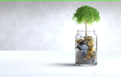 Eco-Tourism: Traveling Responsibly and Sustainably